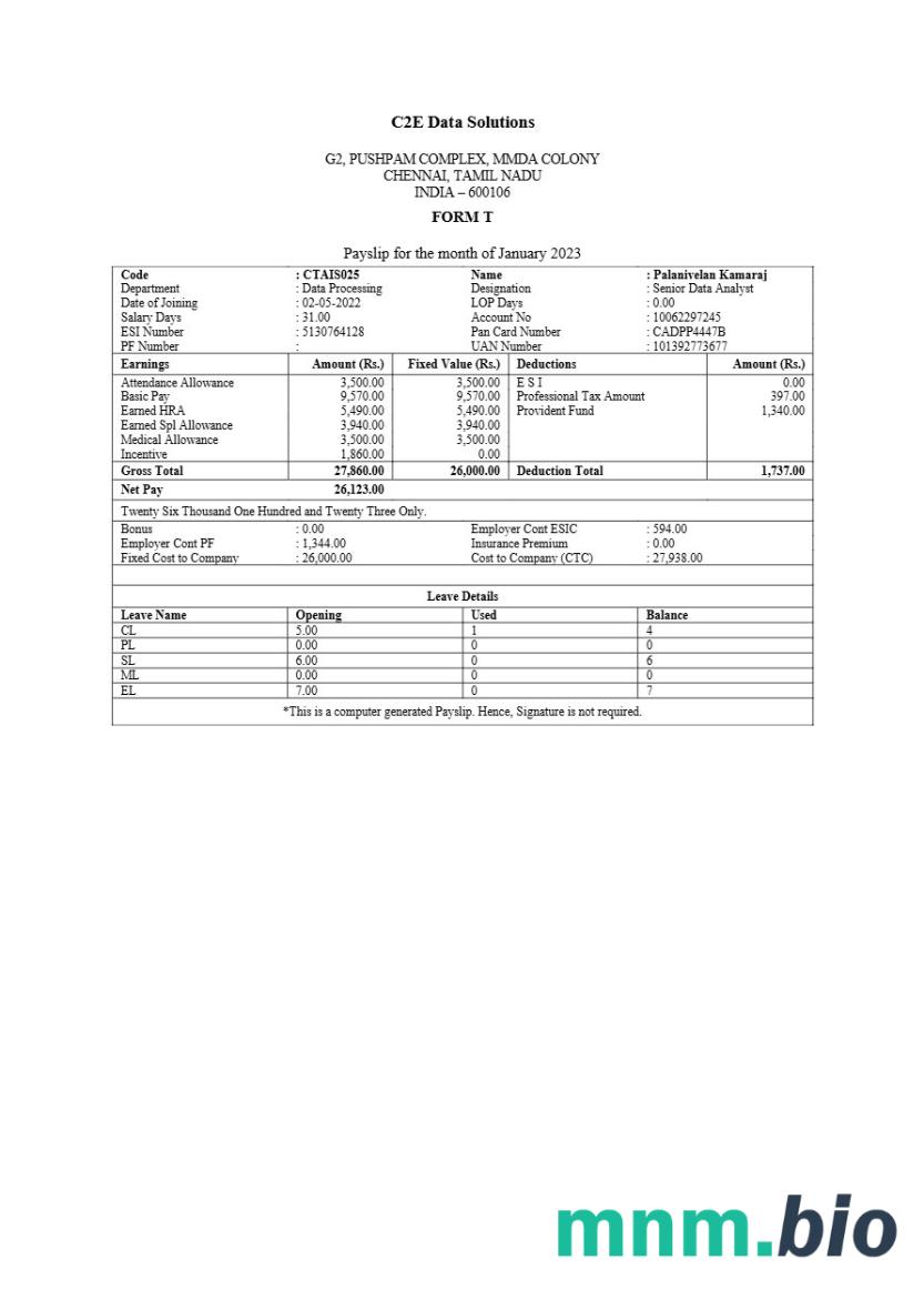 Szablon odcinka wypłaty C2E Data Solutions w formatach Word i PDF